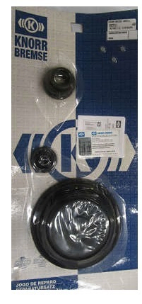 Rep springbrake galleta 16" x 24" - Imagen principal