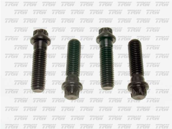 Tornillo carcaza valvula  tas 30 - Imagen principal