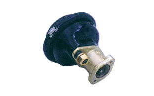 Galleta servofreno tipo 12" - Imagen principal