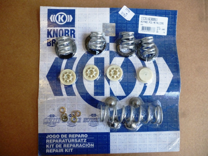 Rep valv protectora - Imagen principal