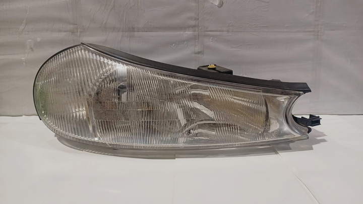 Semioptica der - Imagen principal