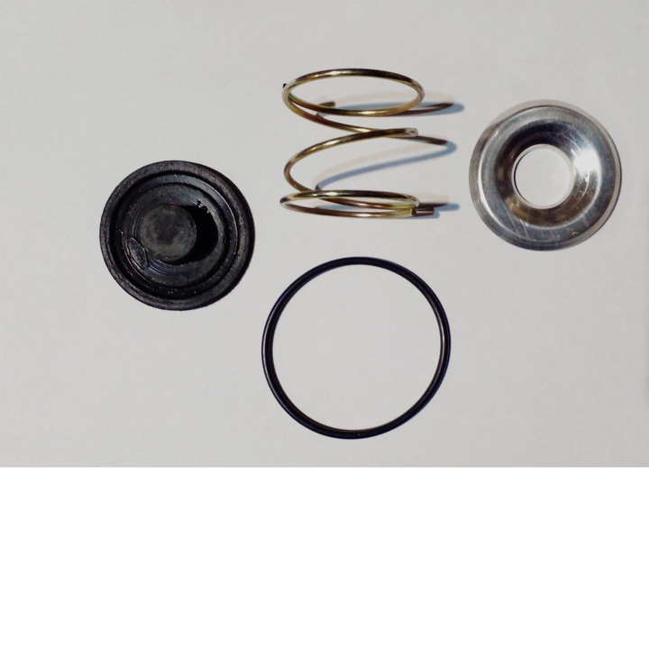 Rep valv descarga rapida completa - Vista 2