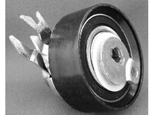 Polea tensora - Imagen principal