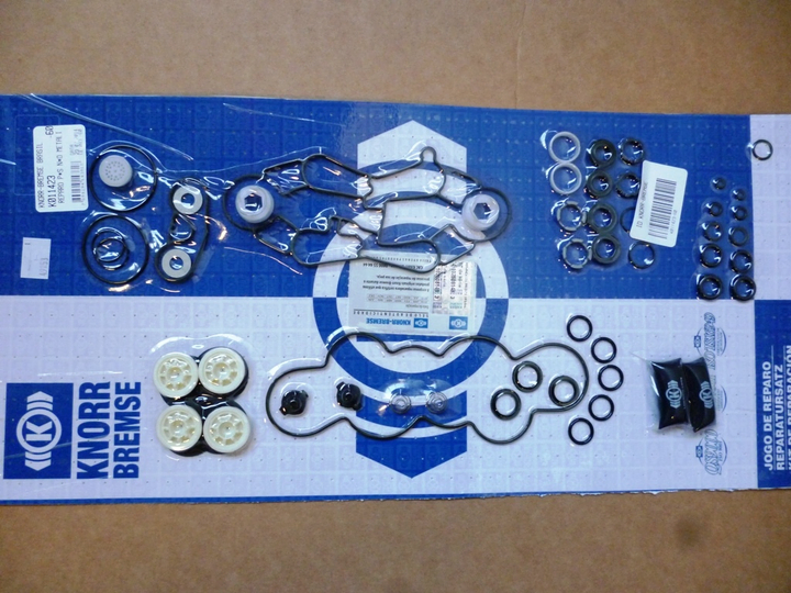 Rep valv protectora - Imagen principal