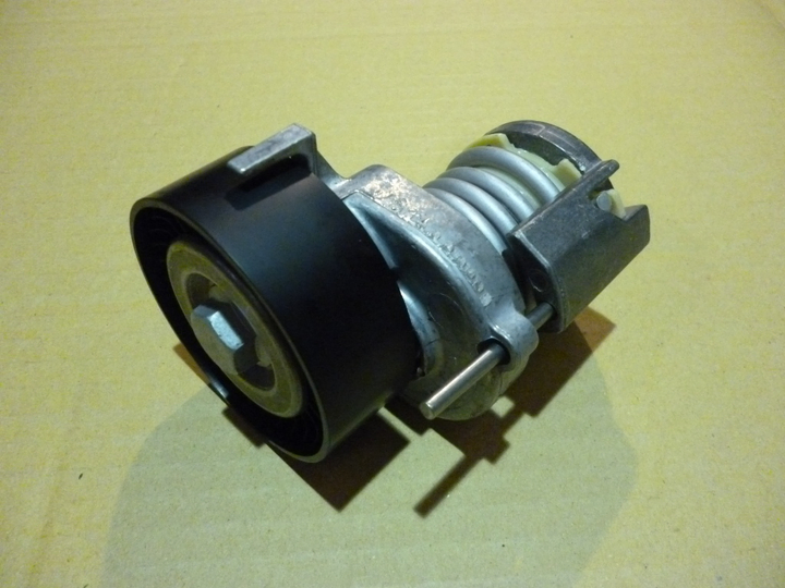 Polea tensora - Imagen principal