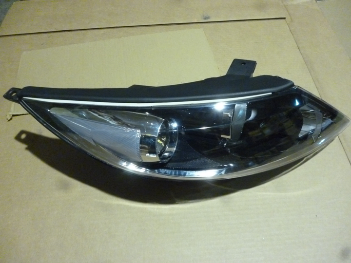 Semioptica der - Imagen principal