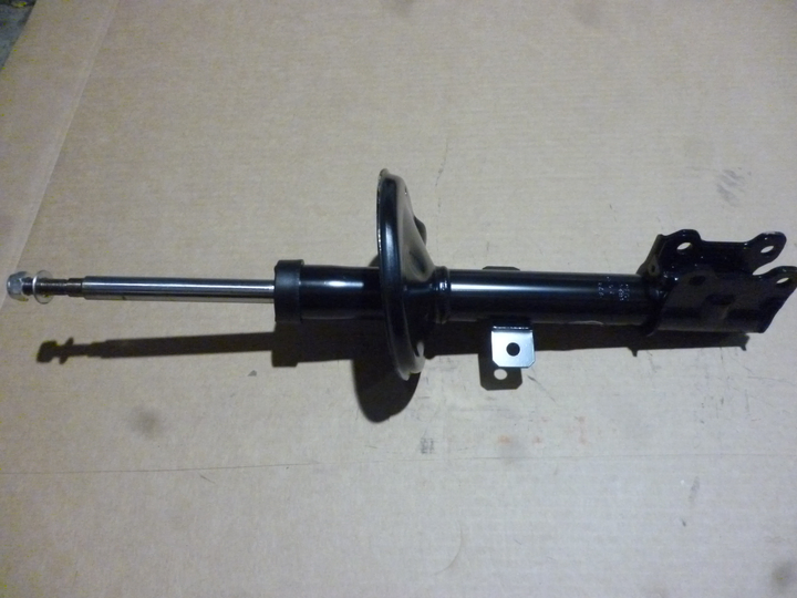 Amortiguador delantero gas - Imagen principal