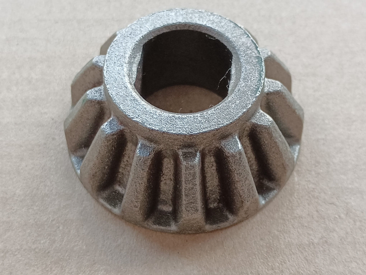 Piñon conico - Imagen principal