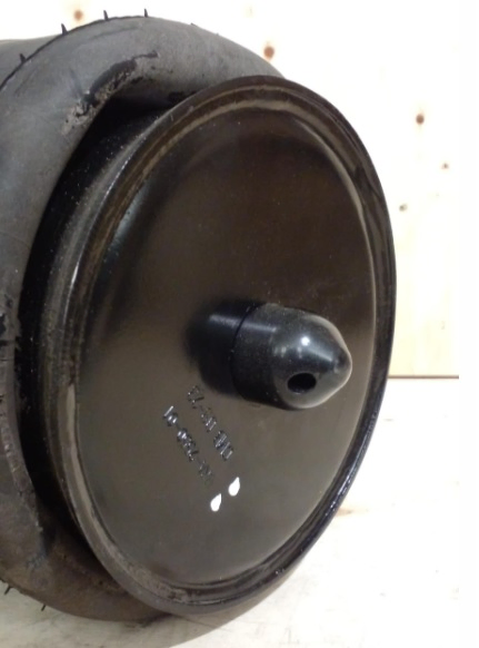 Vejiga susp.(completa) 1t15lmr-3 trasera - Vista 2