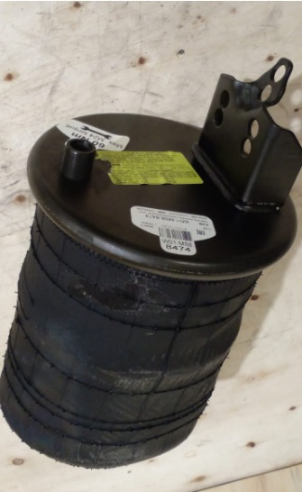 Vejiga susp.(completa) 1t15ur9 trasera - Imagen principal