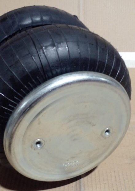 Vejiga susp.(completa) 20 trasera - Vista 2