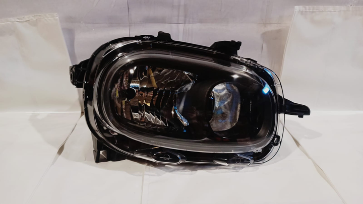 Semioptica der - Imagen principal