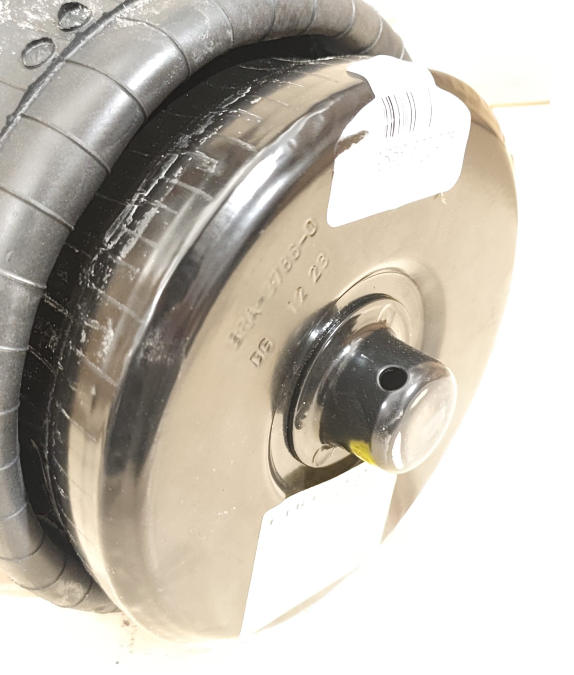 Vejiga susp.(completa) 1r5p-370-275 3er eje - Vista 2